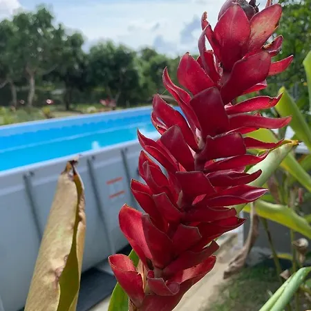 Acogedora Cabana, Naturaleza, Familia - Nueva - Anapoima Exterior photo