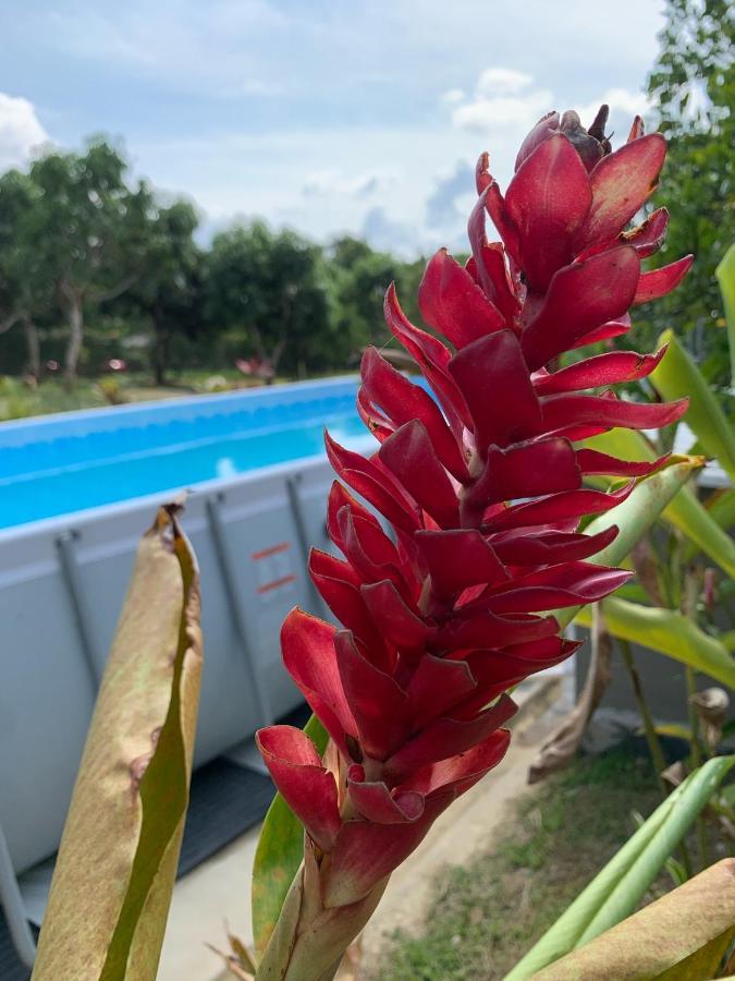 Acogedora Cabana, Naturaleza, Familia - Nueva -