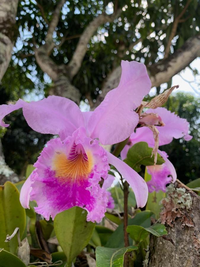 Acogedora Cabana, Naturaleza, Familia - Nueva - * Anapoima