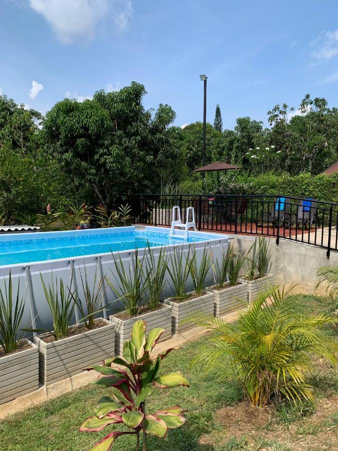 Acogedora Cabana, Naturaleza, Familia - Nueva - Holiday home *